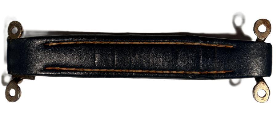 LARGE BLU HANDLE OEM AMPEG BACK